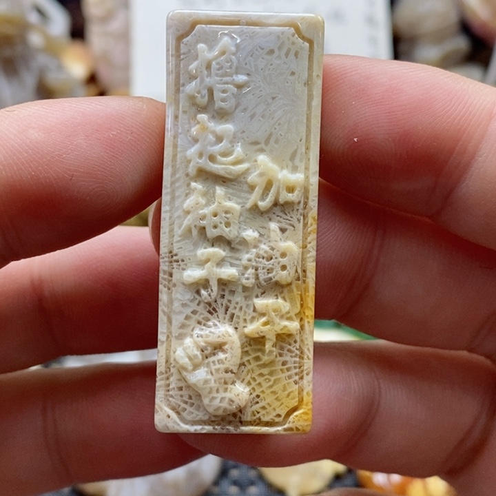 硅化珊瑚（珊瑚玉）颈饰未镶嵌