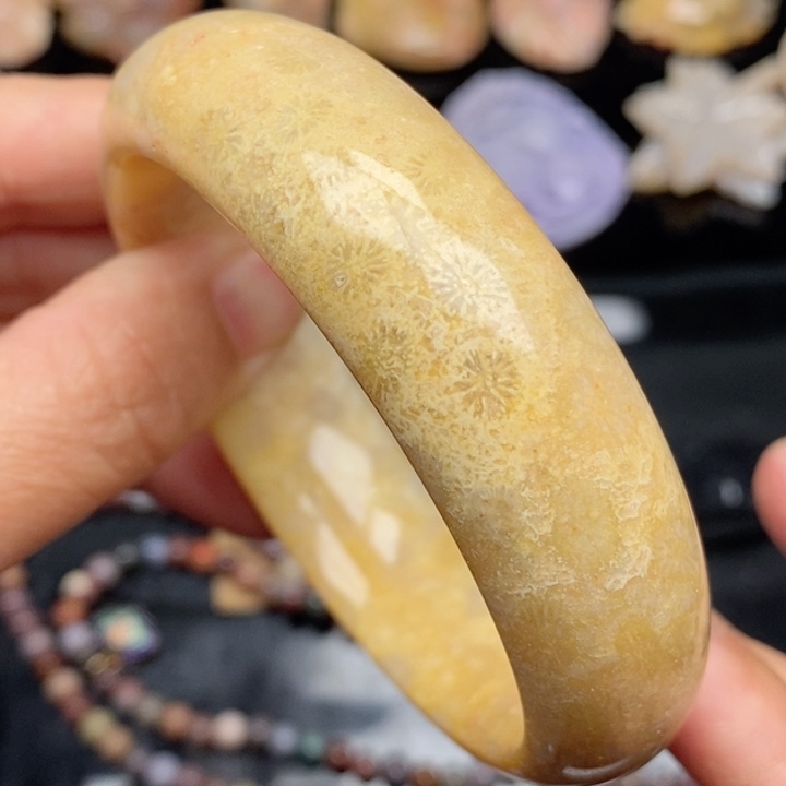 硅化珊瑚（珊瑚玉）颈饰未镶嵌62