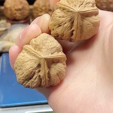 文玩核桃把件碟桩玉璧带彩39