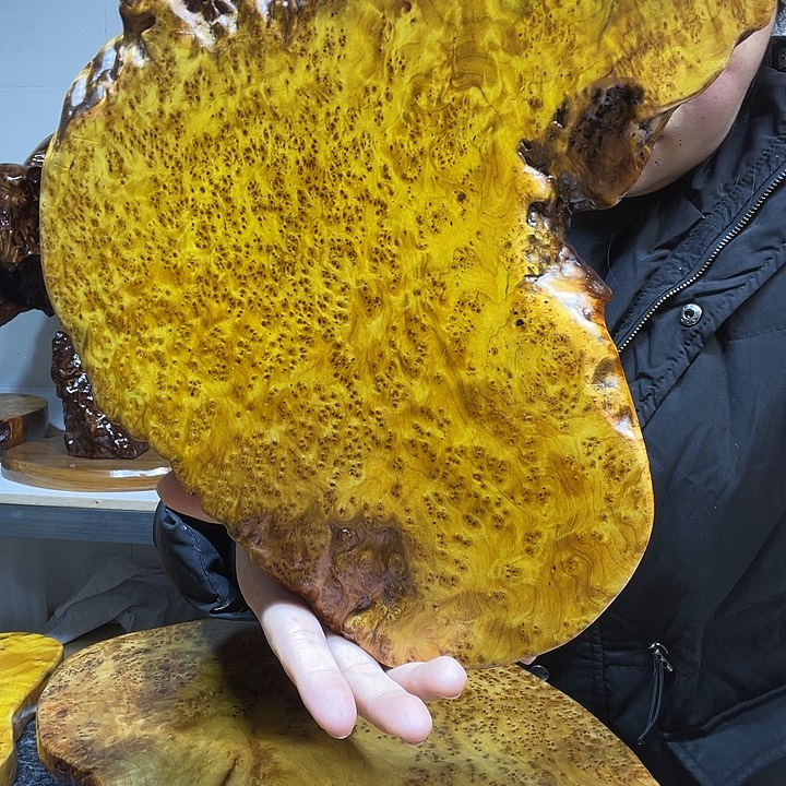 女***好香杉干泡干泡干泡