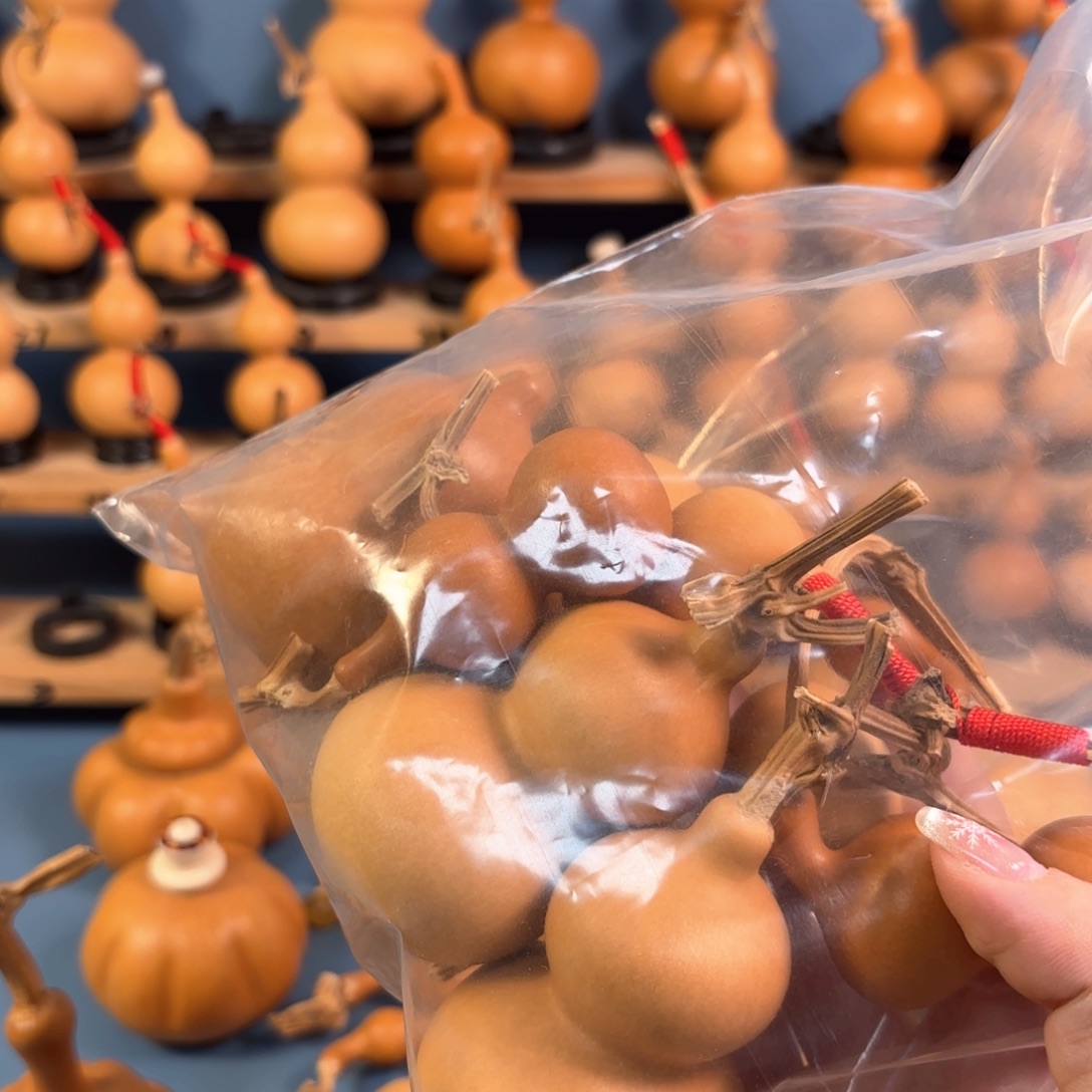 马***y木木木木木木木木木木木木木木