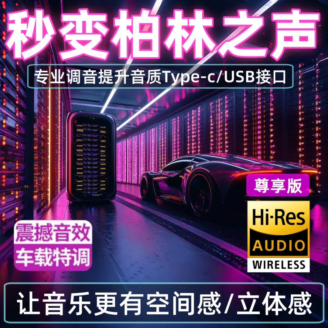 SD/内存卡2025抖音热门催泪DJ无损神曲榜音乐车载U盘网络流行视频