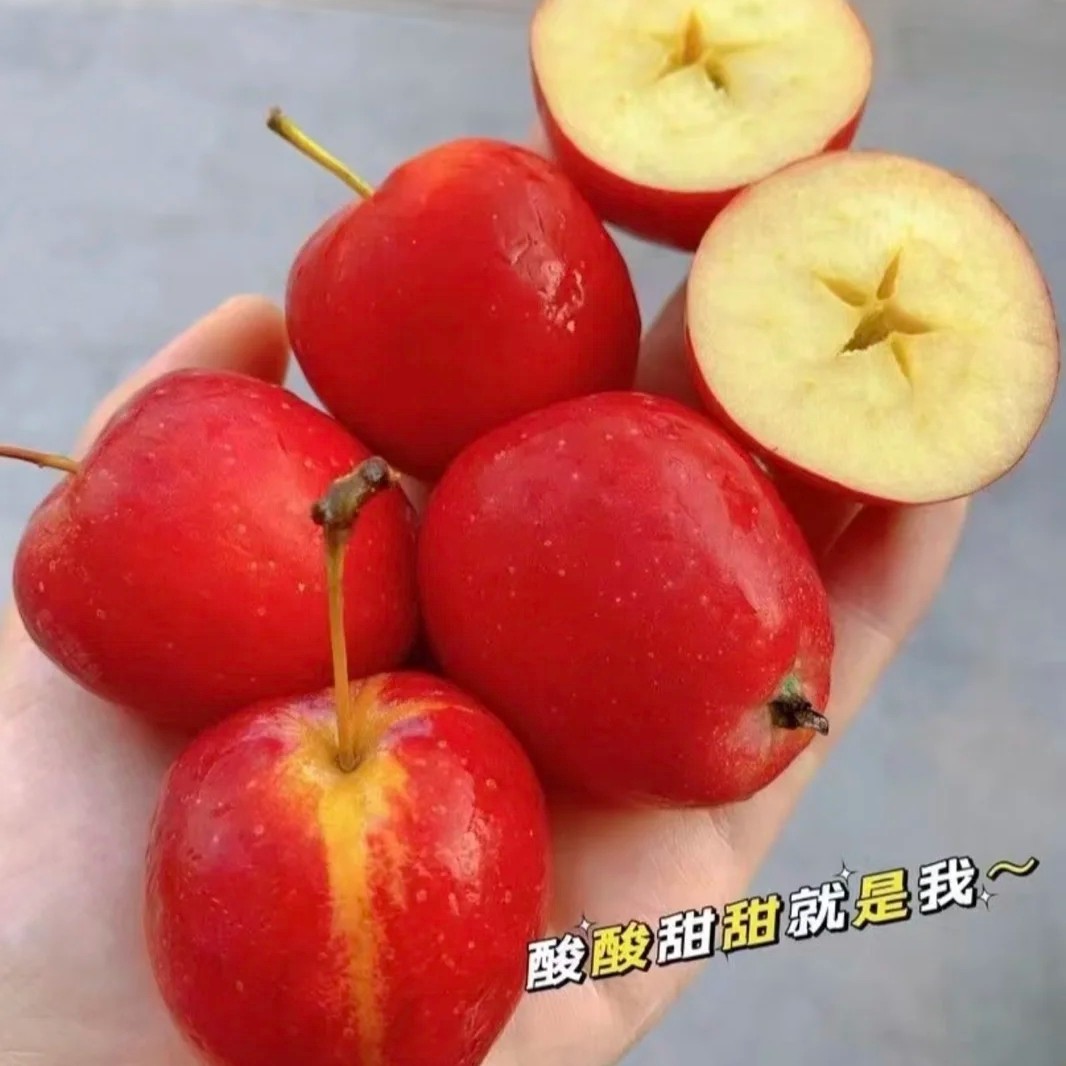 正宗东北鸡心果香妃海棠基地直发脆甜新鲜时令应季孕妇儿童水果