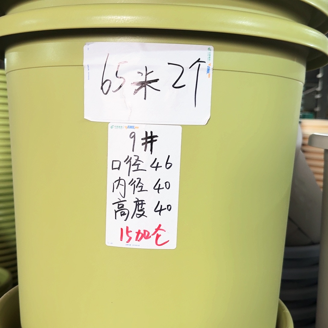 微瑕9#无拖果绿2个