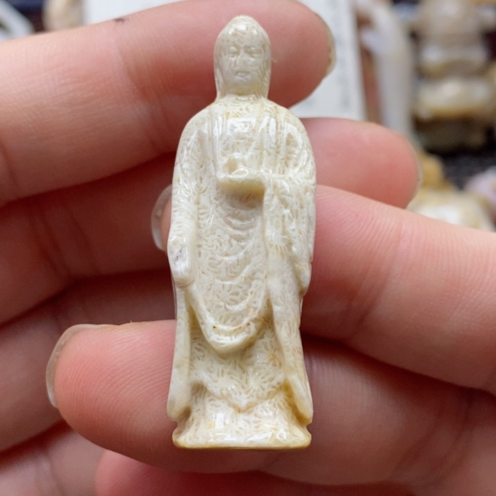 硅化珊瑚（珊瑚玉）颈饰未镶嵌