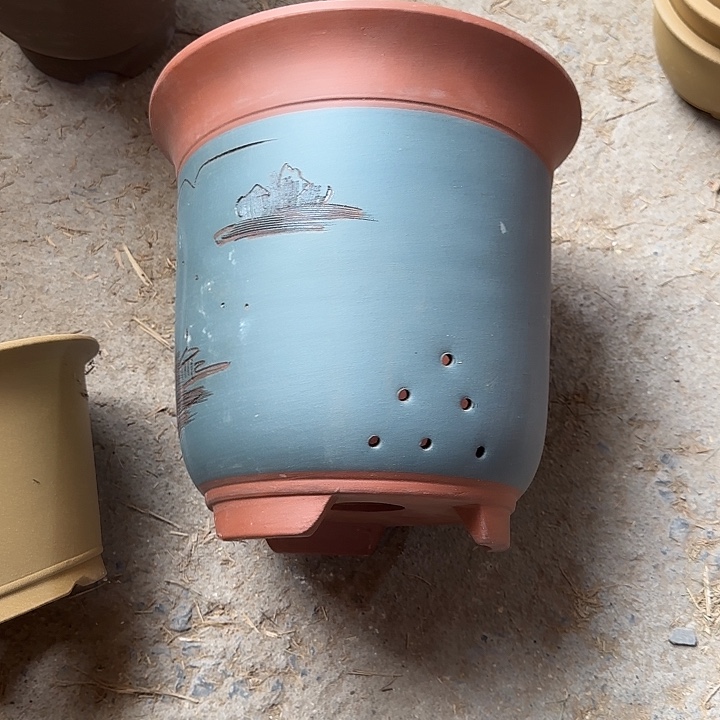 30×30两只超大高京中    