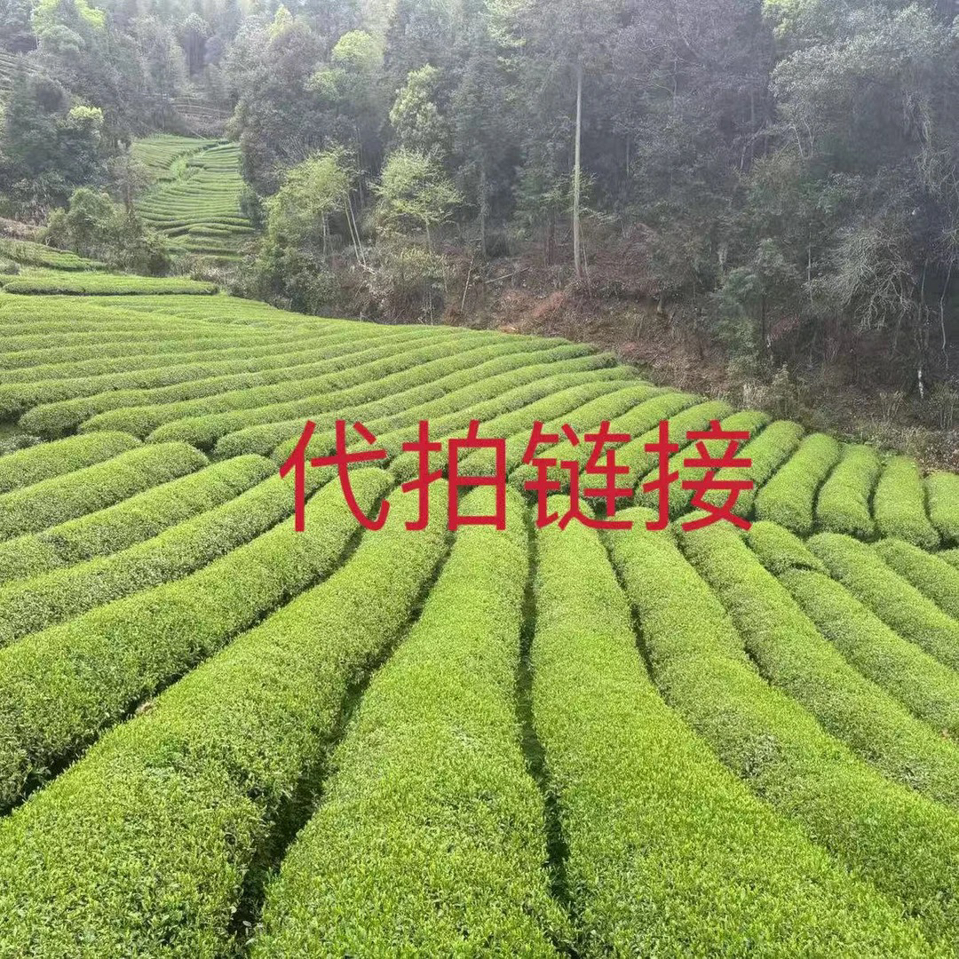 虎上岩峰    陈茶1罐