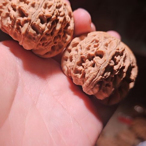 文玩核桃吊坠44闷白