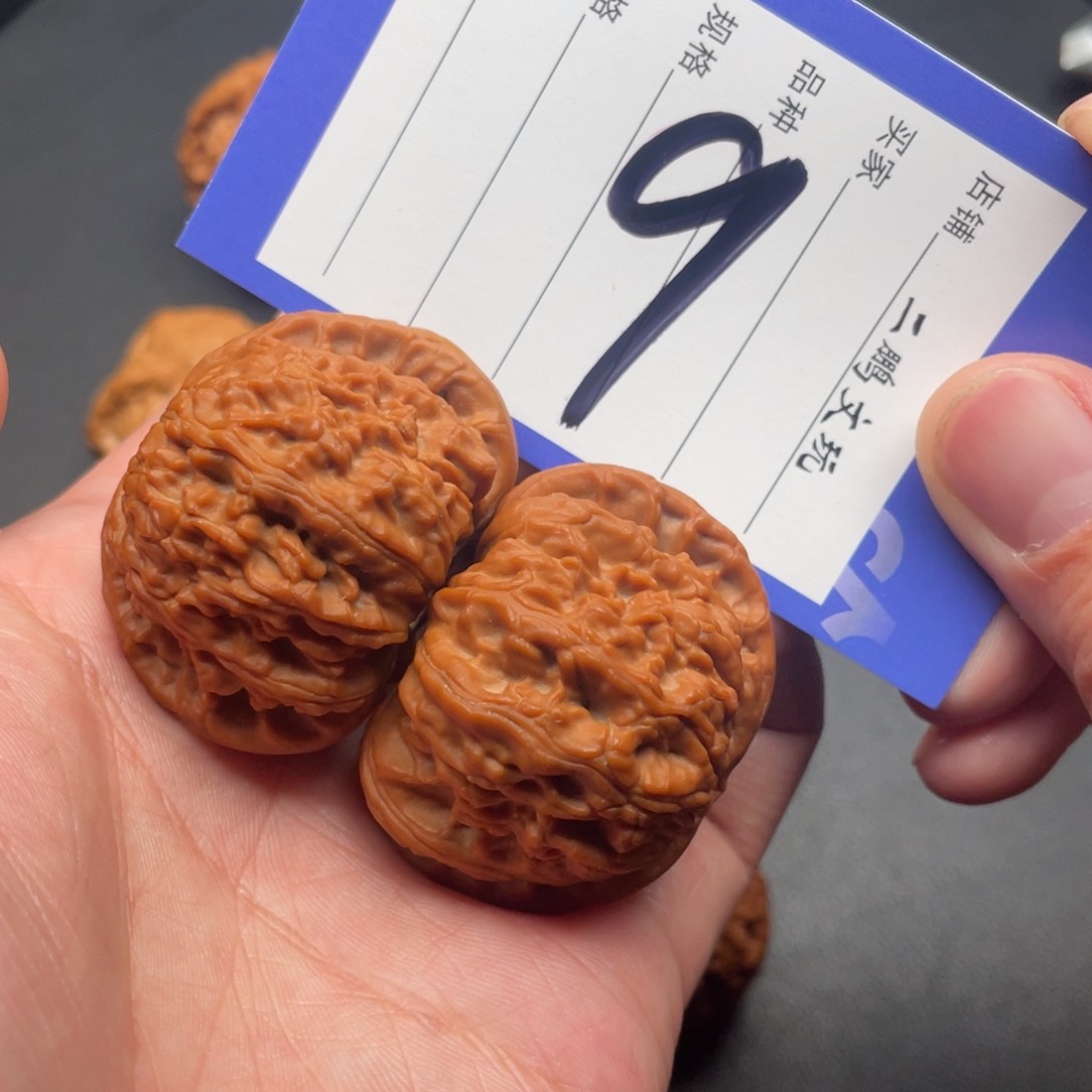 文玩核桃把件白狮子45