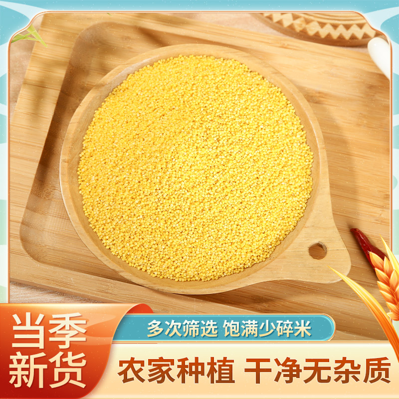 黄小米煮粥蒸饭软糯浓稠五谷杂粮早餐小米粥500g/2.5kg袋装包邮