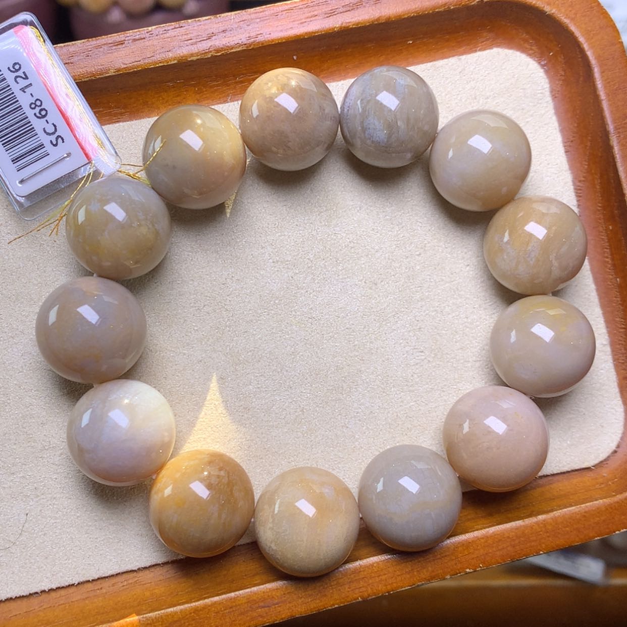 【闪购商品】硅化珊瑚（珊瑚玉）手链未镶嵌