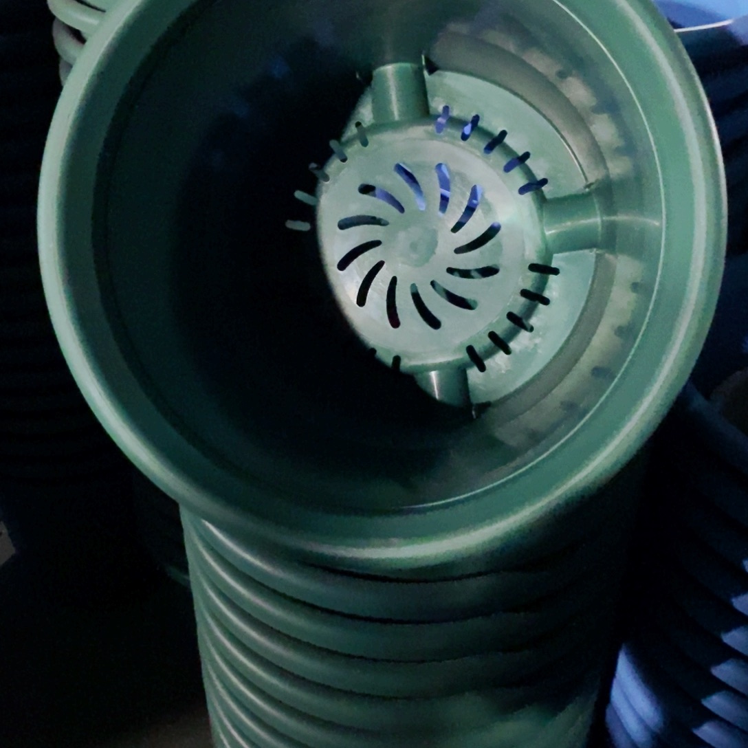 特价6号7个无拖祖母绿