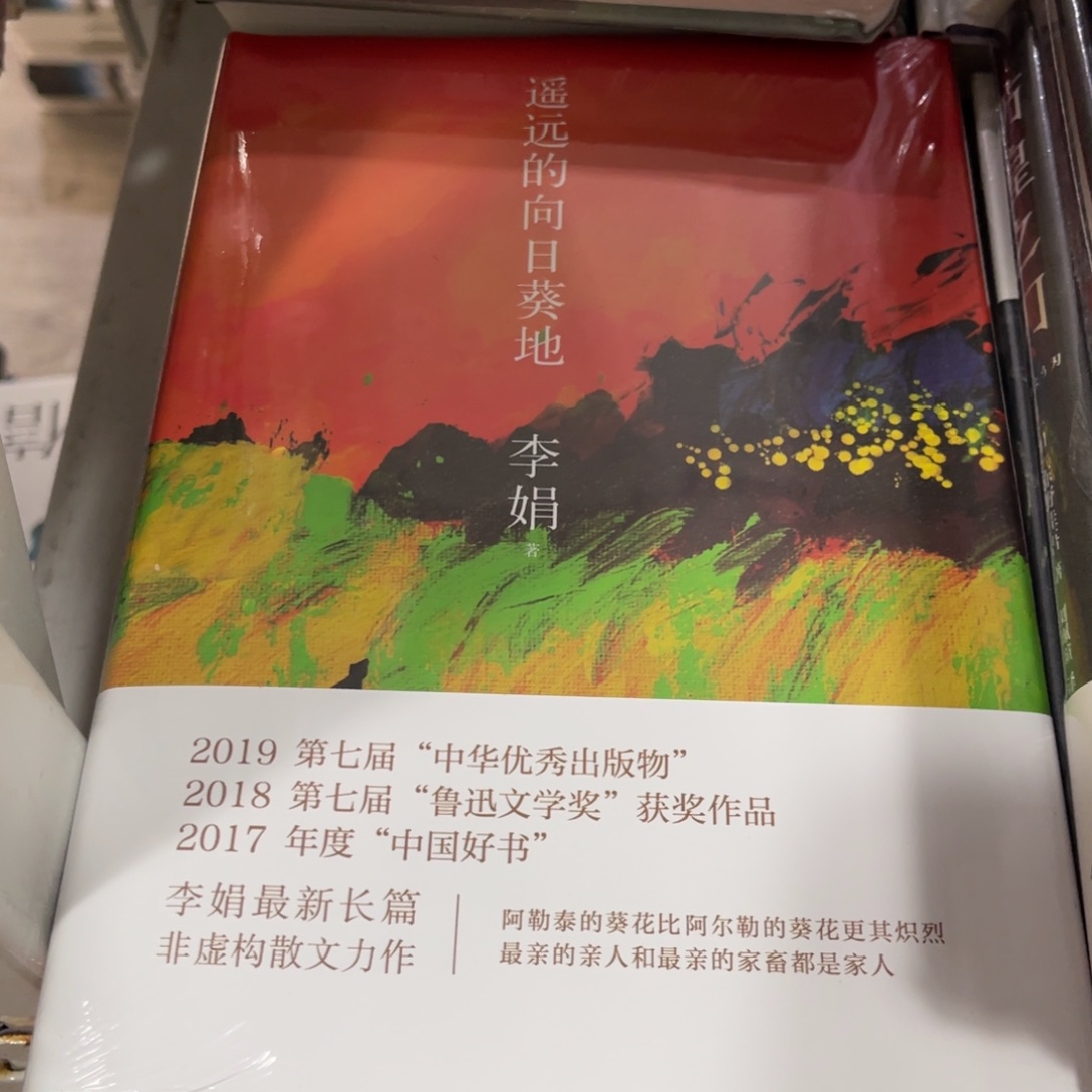 遥远的向日葵地  