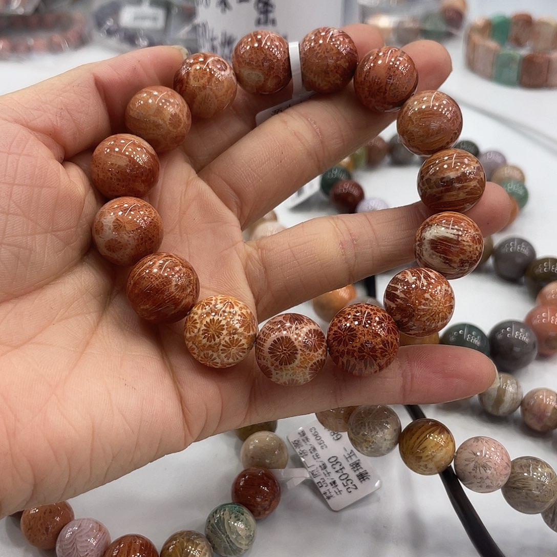 未镶嵌手串硅化珊瑚（珊瑚玉）小*承799