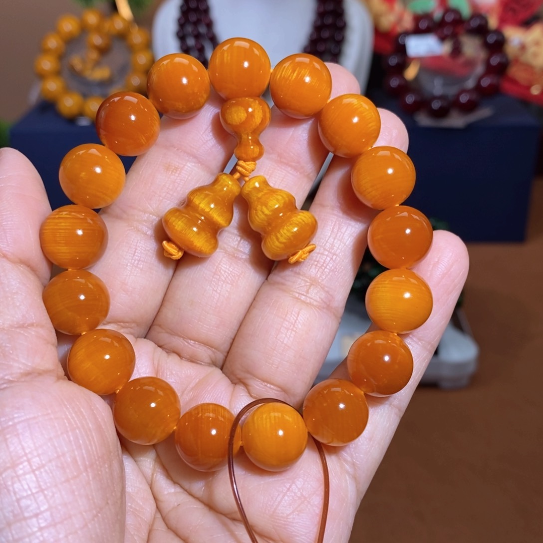 贝壳杉帝王血龙木1.2