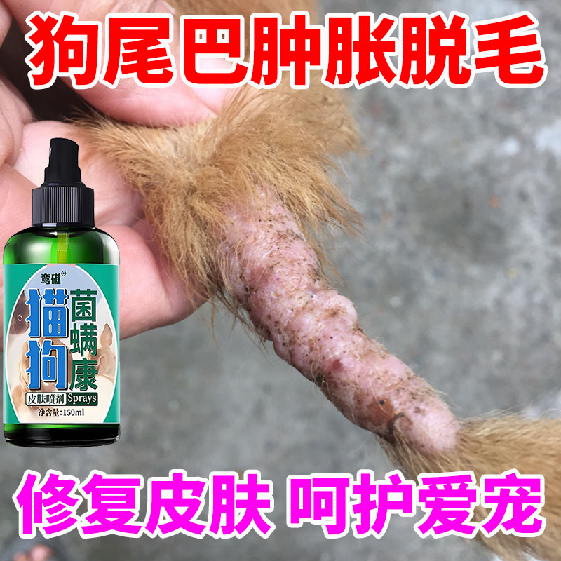 狗尾巴掉毛红肿用喷狗尾巴真菌感染长癣溃烂专用护理抑菌幼犬可用