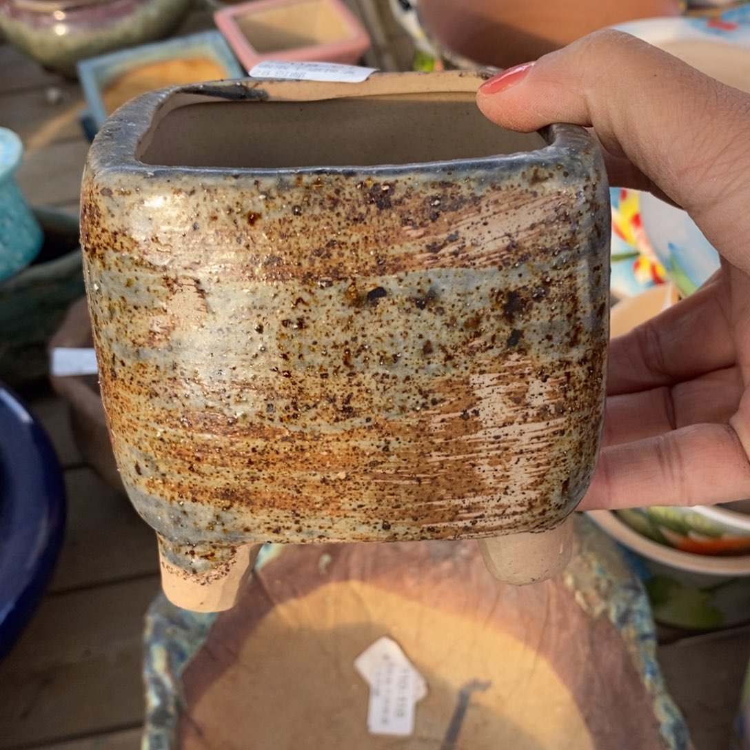 91号多肉盆口径8.5