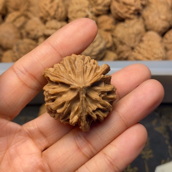 没***白吊坠文玩核桃文玩核桃异形单只