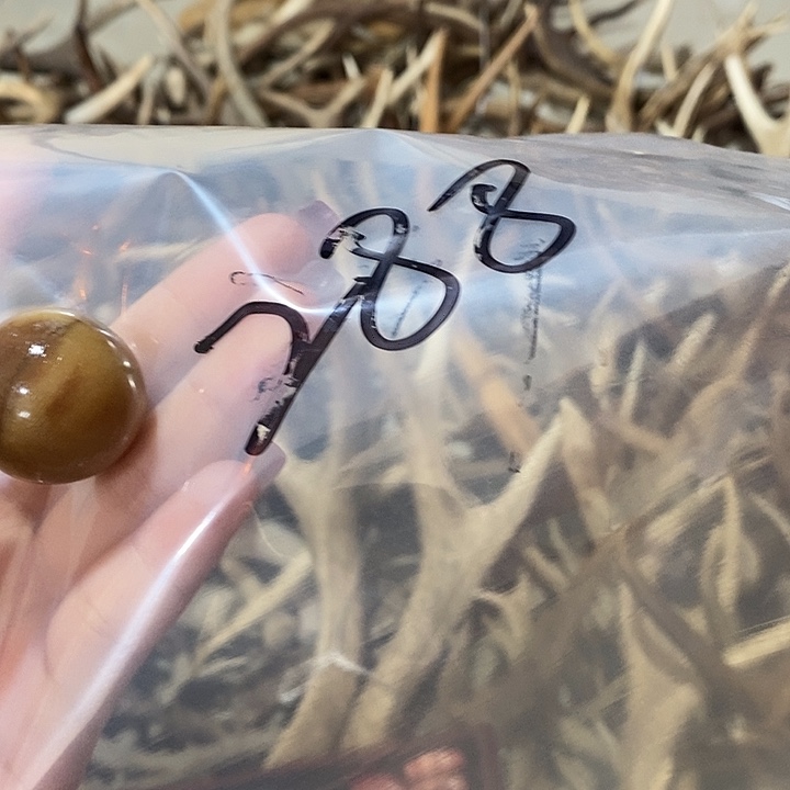 鸿***运无非金属鹿角鹿角