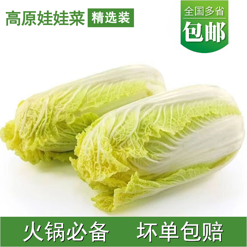 新鲜高原精品黄心娃娃菜大白菜优质好吃美味天然