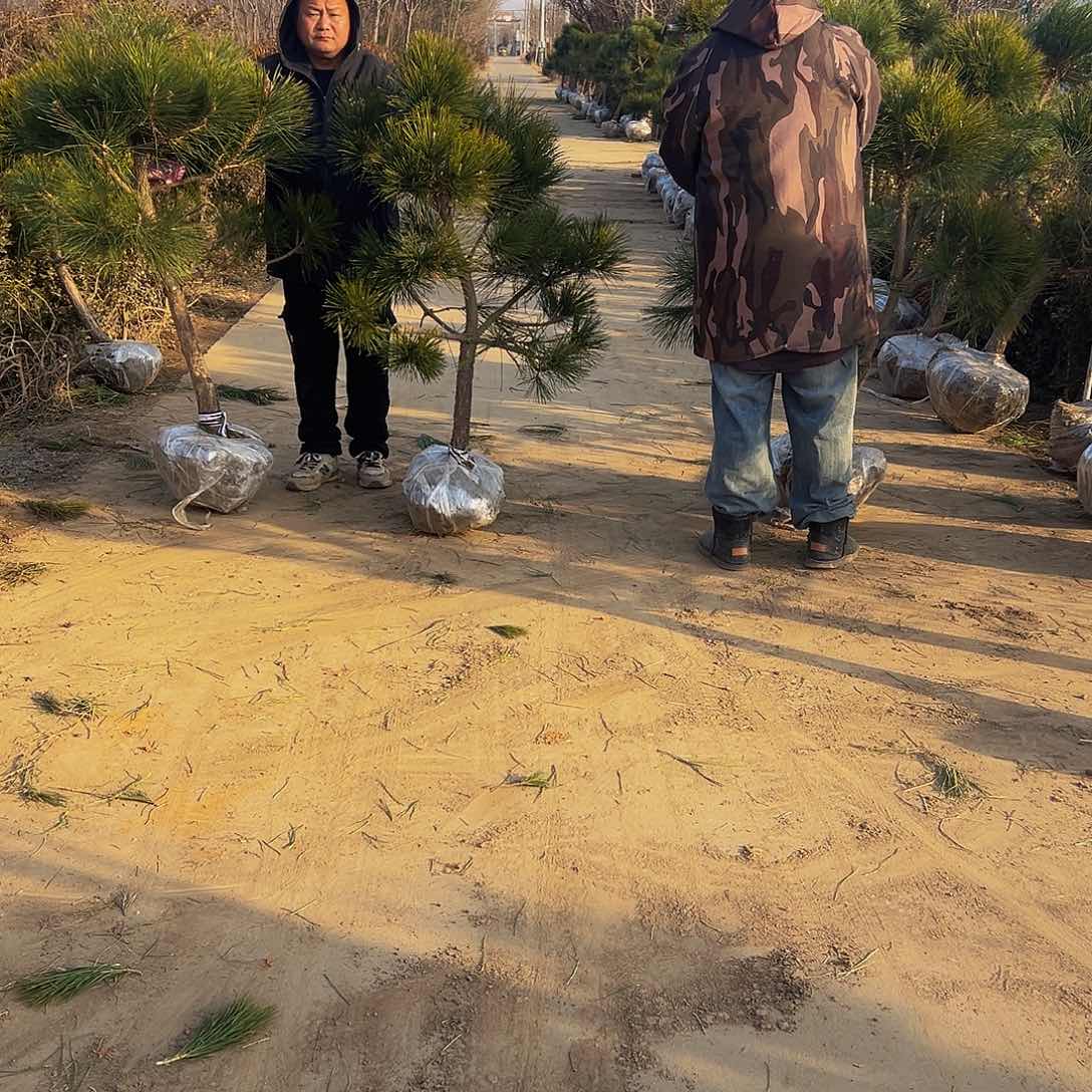 梦**唐8888888888888888888