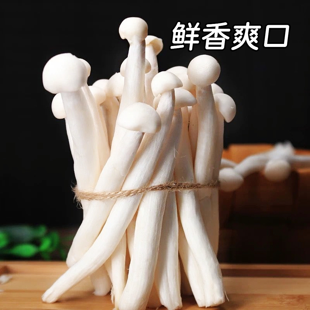 【顺丰包邮】精品海鲜菇菌肉肥厚口感细腻新鲜菌菇火锅必备健康食材