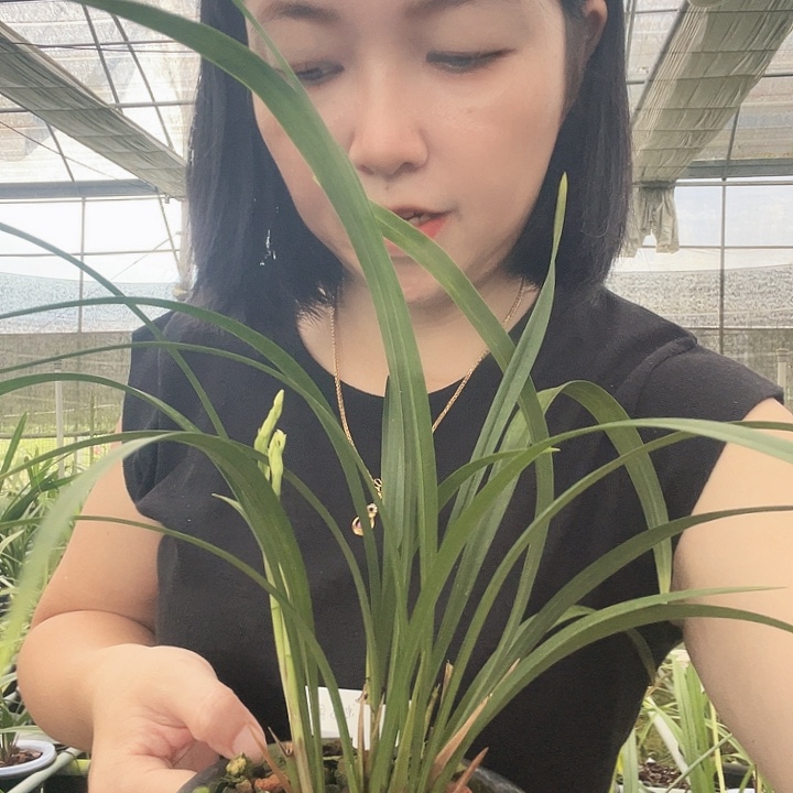 完全开放秋水伊人5