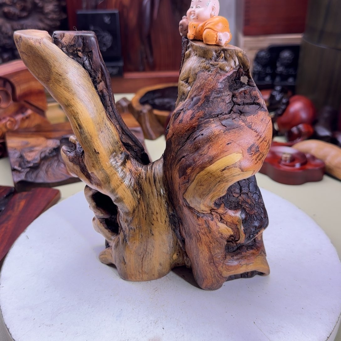大果紫檀（缅甸花梨）蝶**群