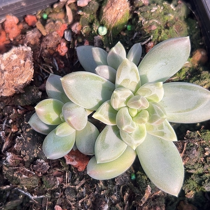 美人群特价一物一拍