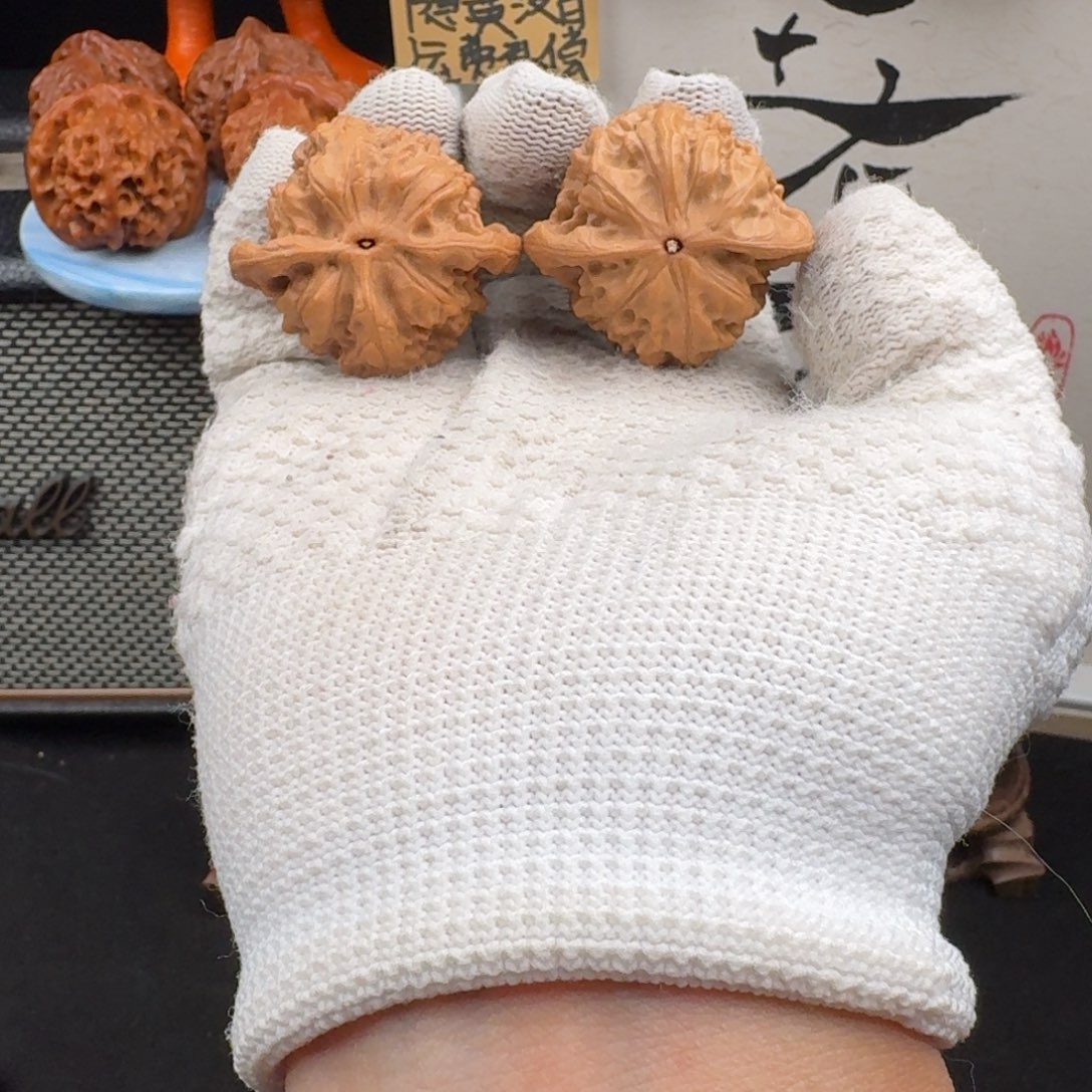 文玩核桃吊坠40013野狼