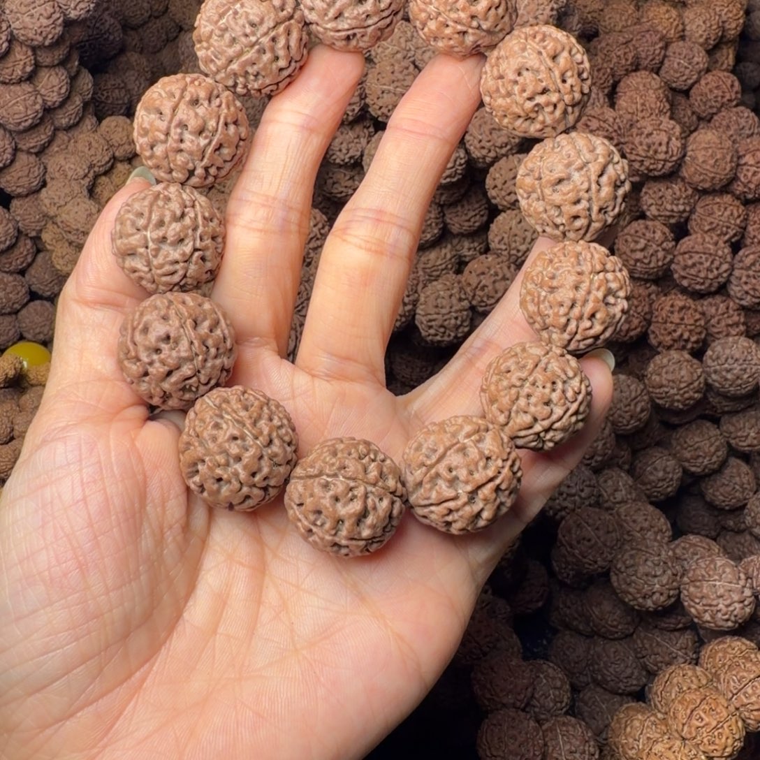 手串金刚菩提7瓣卡22尺，21号