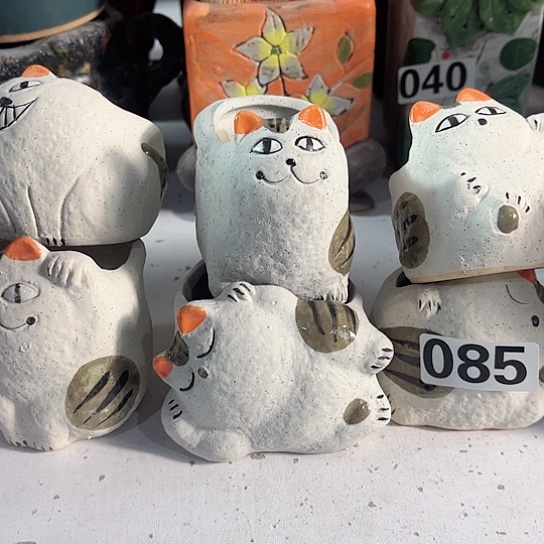 红陶多肉植物花盆