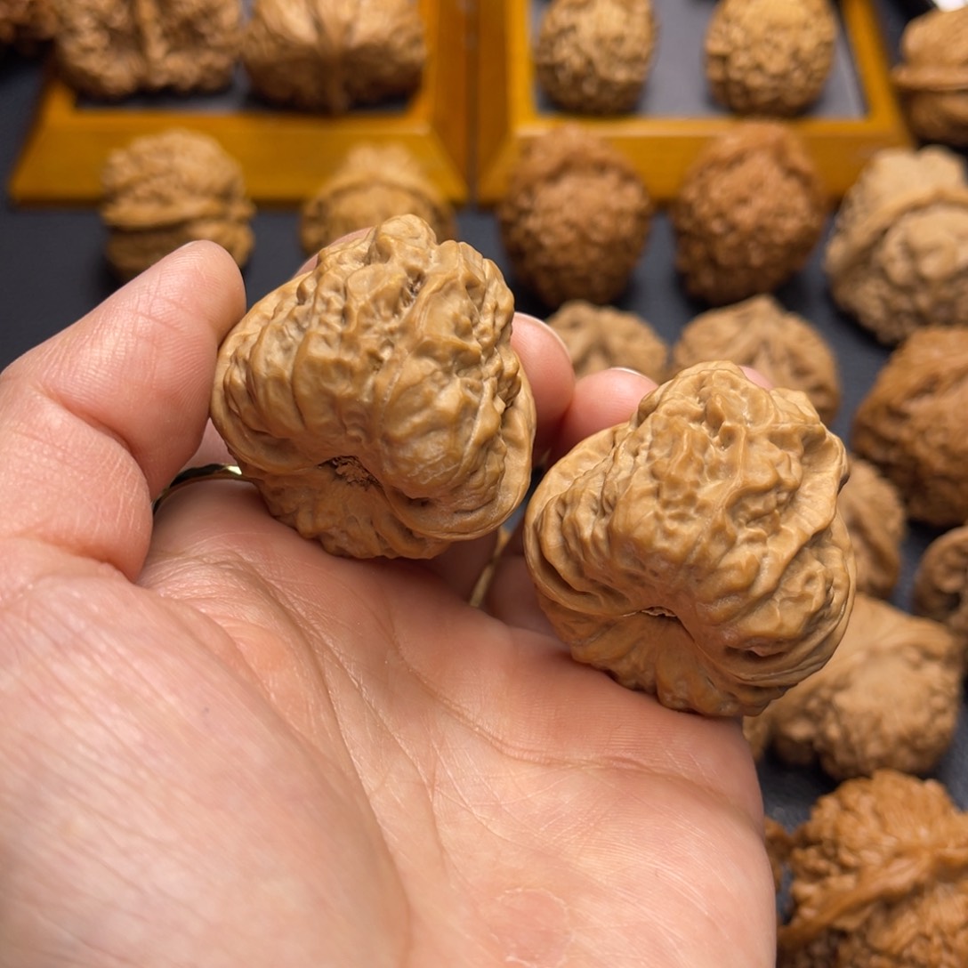 桃核把件蛤蟆头37。  孟