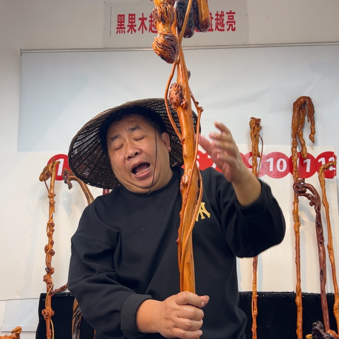 鹦***地其他黑果木黑果木514