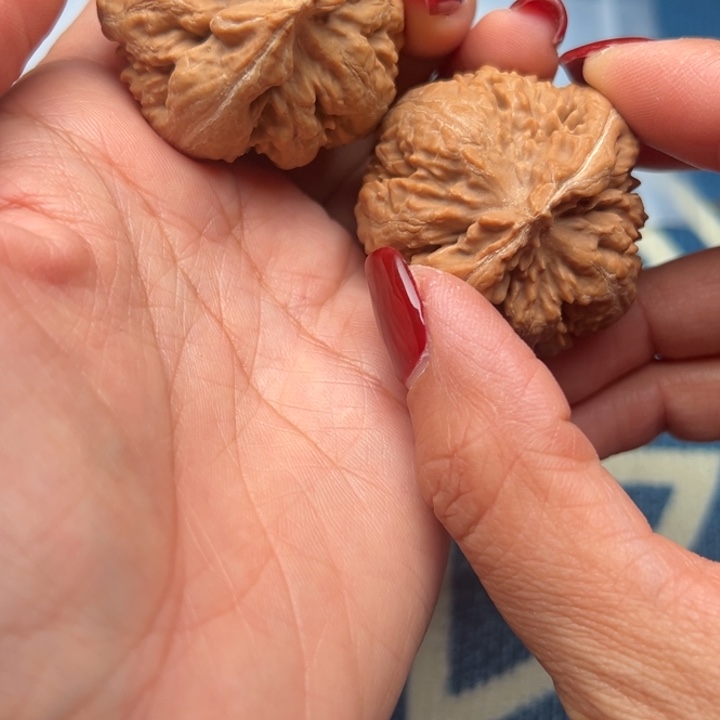 桃核吊坠文玩霸王龙