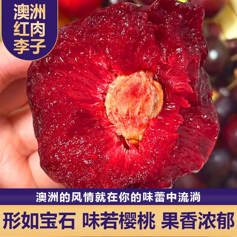 头茬现采湖北【澳洲红胭脂女王李】酸甜李子新鲜水果