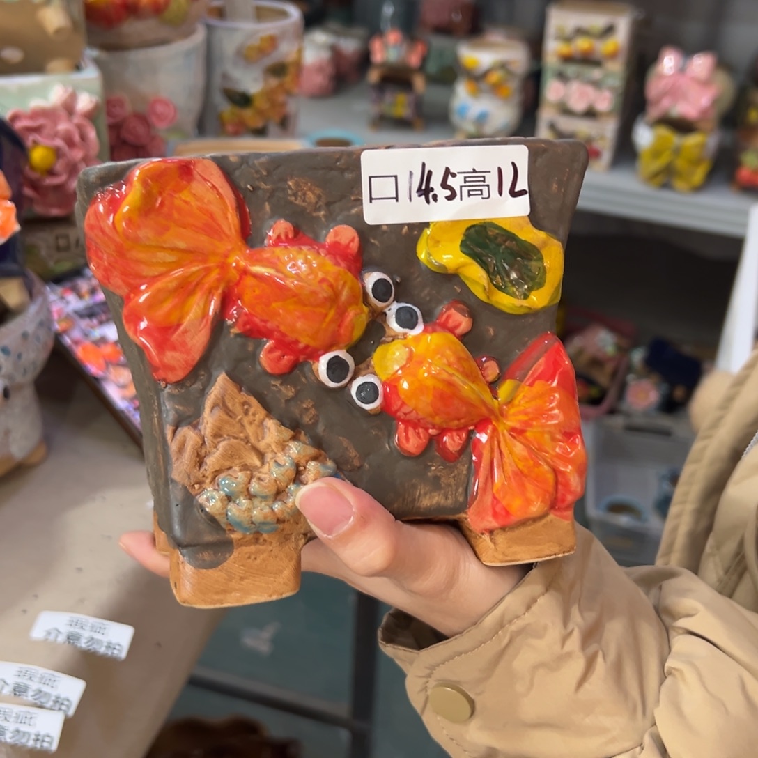 多肉花盆满20发货，爱退款拉黑