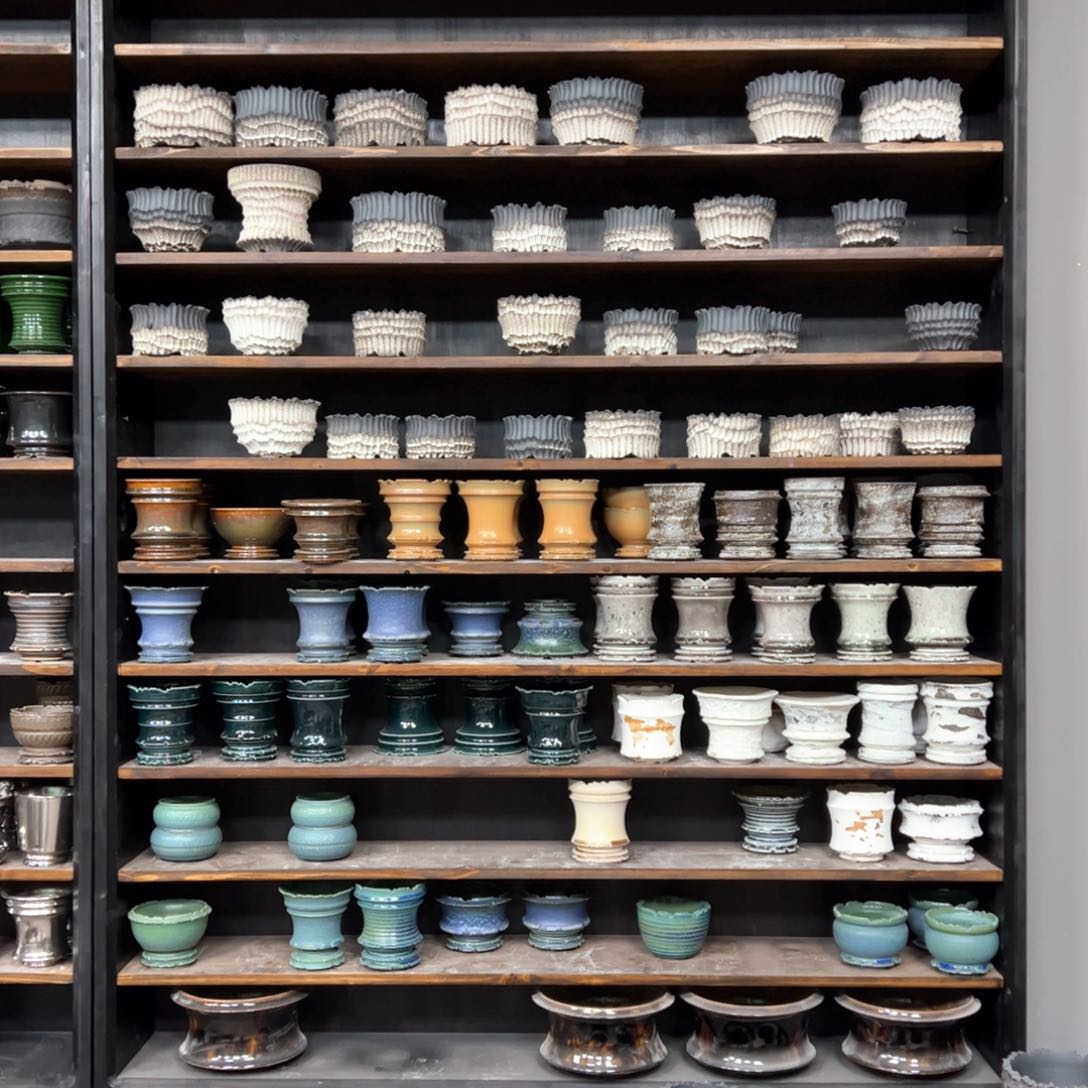 有喜欢的把编号打在公屏