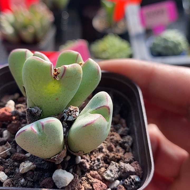 在外要小心安全呀2001