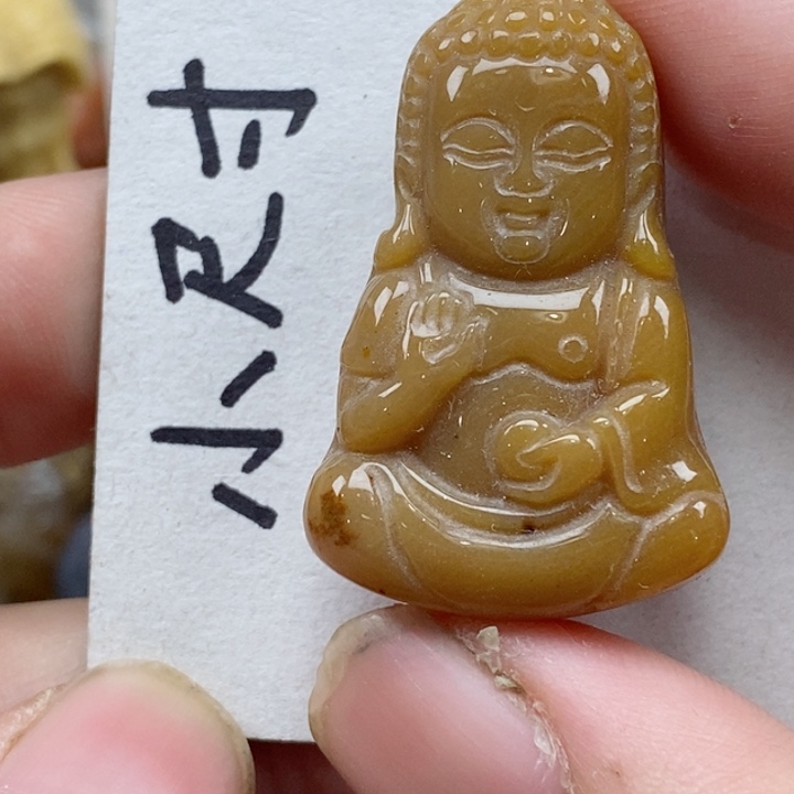 颈饰未镶嵌硅化珊瑚（珊瑚玉）