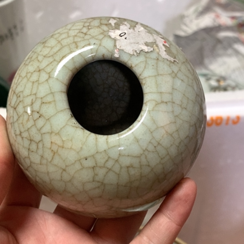 【闪购商品】青瓷珍***拒