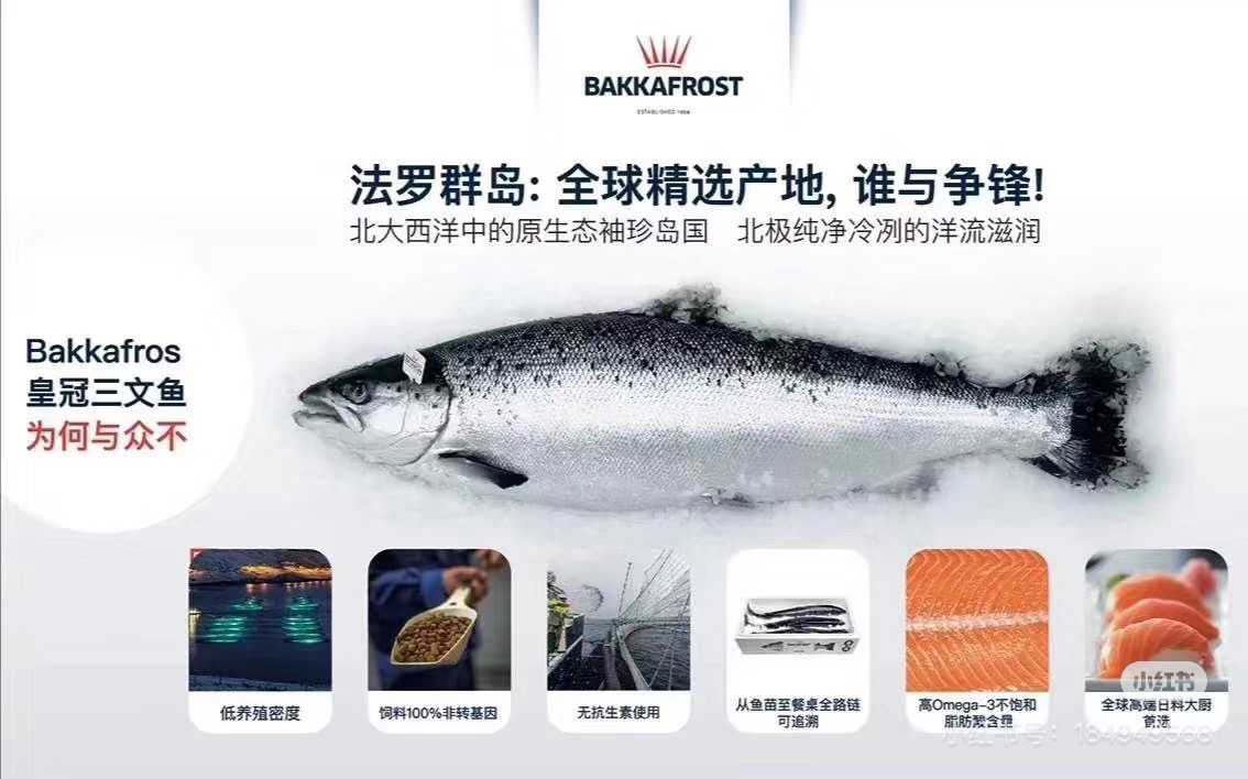 冰鲜丹麦法罗皇冠三文鱼500克