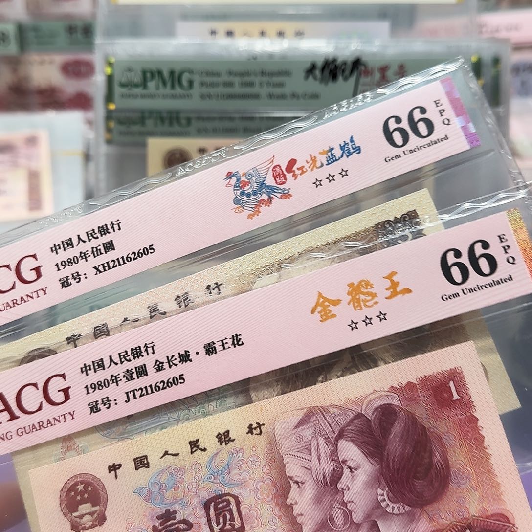 纸2162605。。。。全天号805金龙王