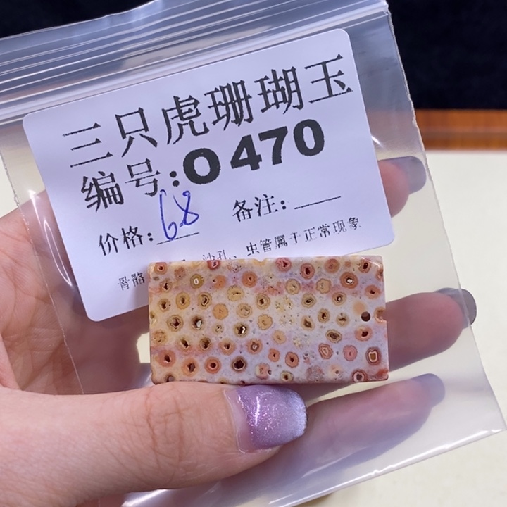 硅化珊瑚（珊瑚玉）未镶嵌o360答****