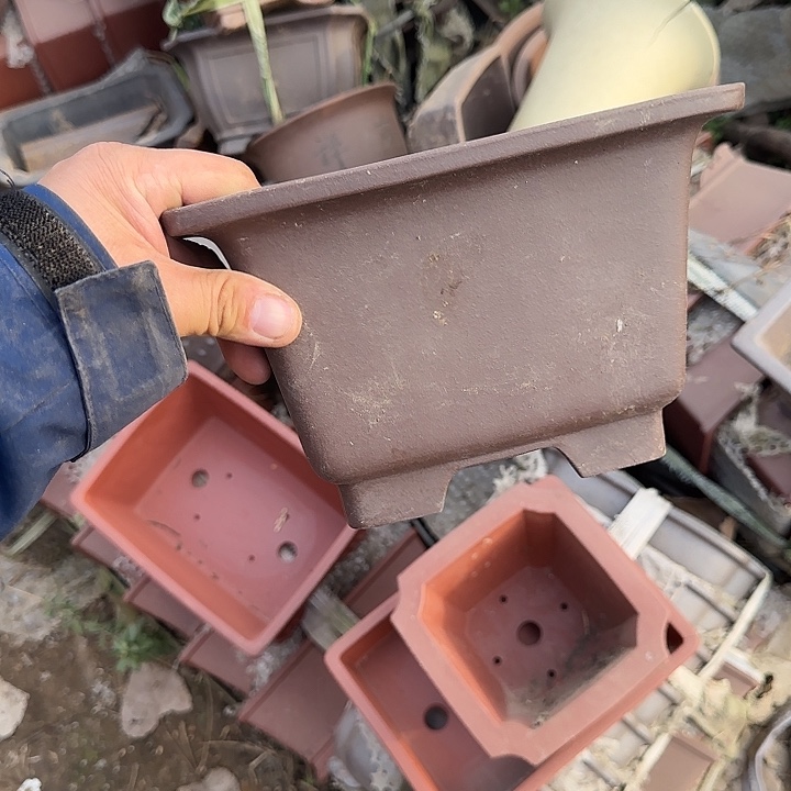 我想说我们也没见他说你没来就算吧了啊这