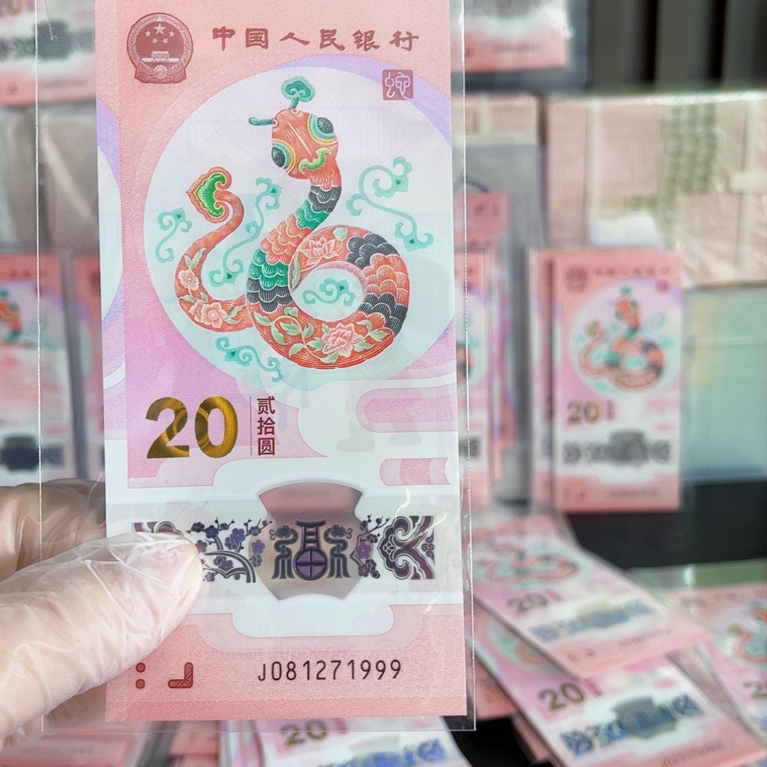 塑料蛇钞j-081271999