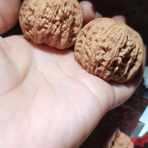 猴头核桃吊坠42泥鳅背