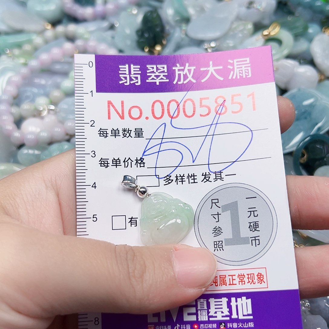 颈饰未镶嵌翡翠5851