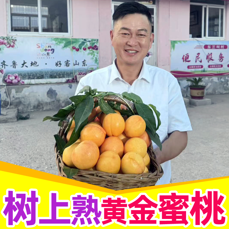 【黄金蜜1号水蜜桃】3-4.5斤山东蒙阴当季新鲜水果大甜桃子脆甜多汁
