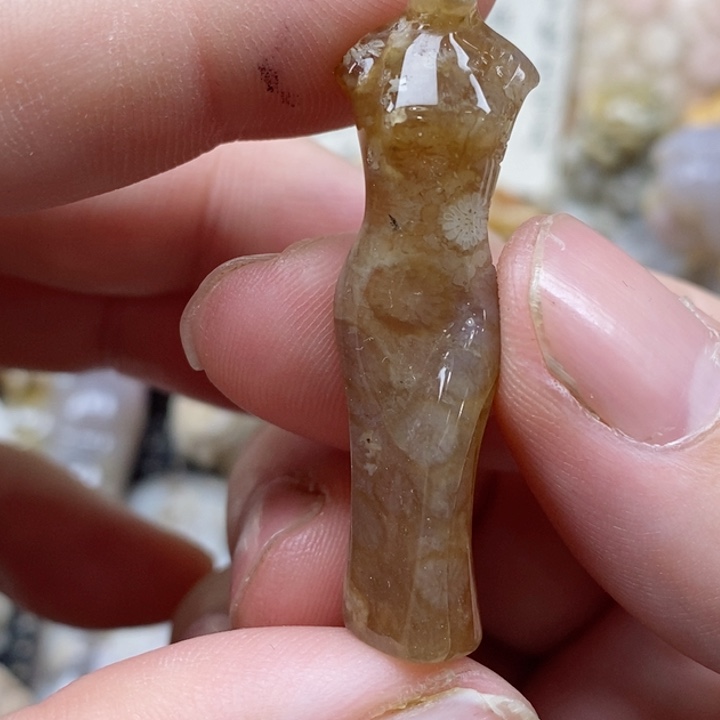 颈饰未镶嵌硅化珊瑚（珊瑚玉）